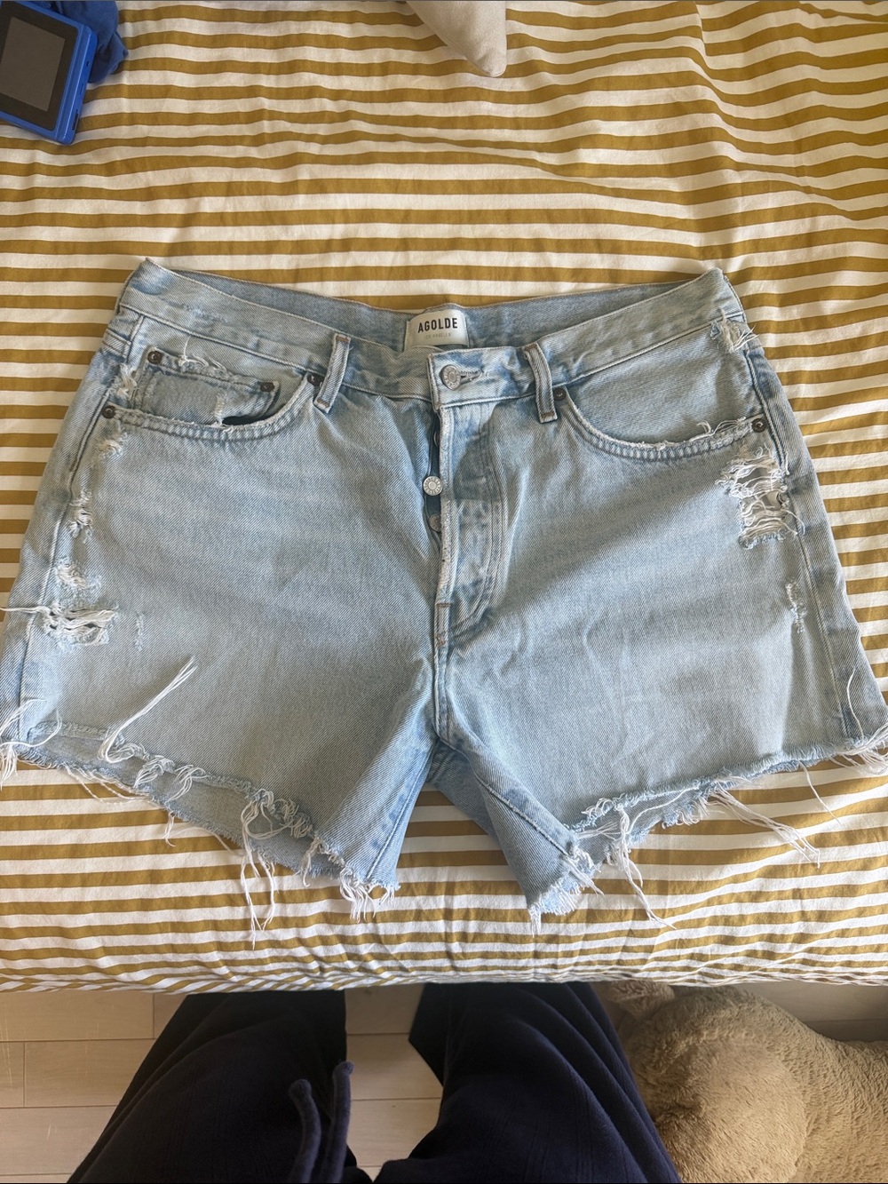 Agolde Pale Blue Distressed Denim Cutoff Shorts